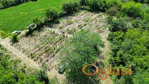 Prodaja placa -centar Beočin